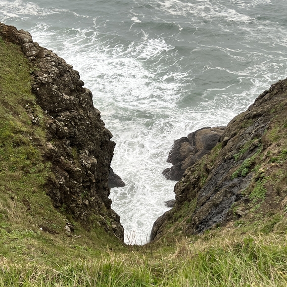 baysanch